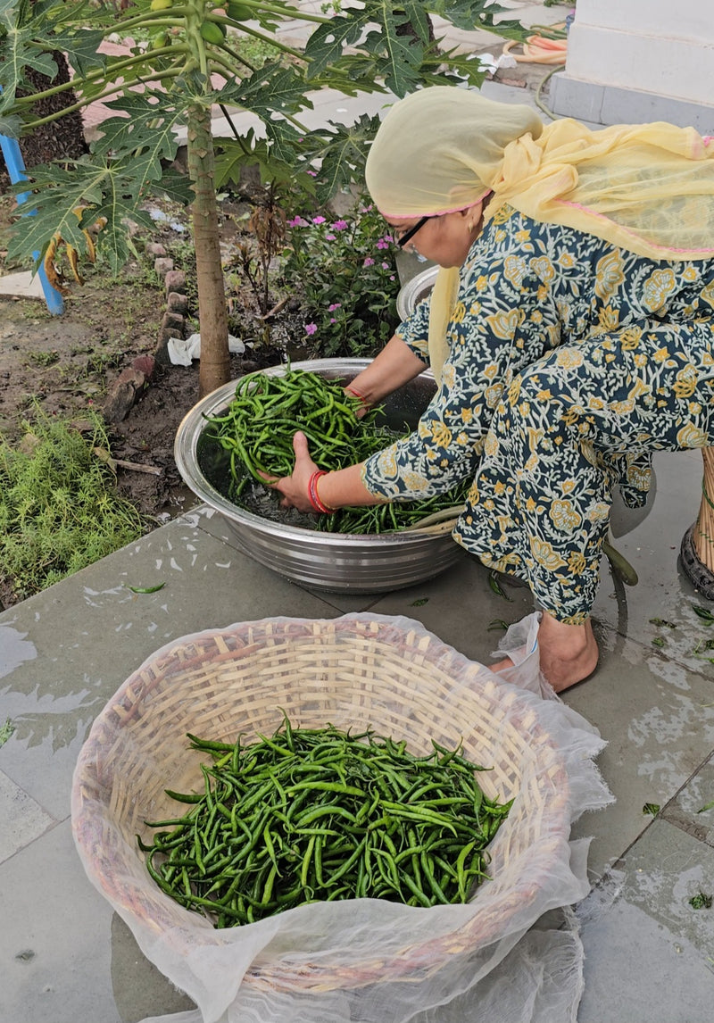 जटवार हरी मिर्च का आचार — Green Chilli Garlic Pickle